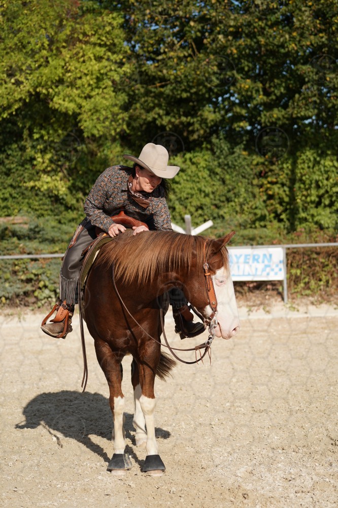 s_A_908492.JPG